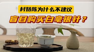 【小陈茶事】今年白毫银针这么火，该不该囤一些？村姑陈说出了真心话