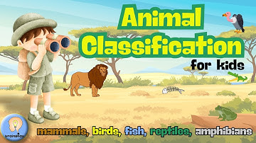 Animal Classification for Kids | Animal Groups & Flashcards