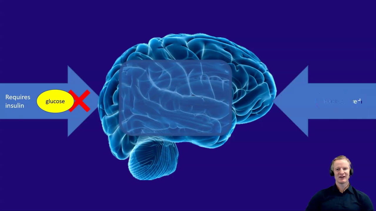 Preventing and treating dementia with diet long version (40 minutes