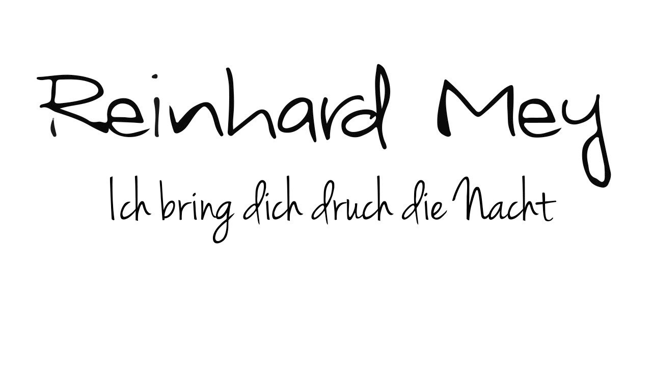 Reinhard Mey Ich bring dich durch die Nacht (lyric video) YouTube
