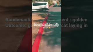 #randonautica #randonauting #randonaut #randonauticaapp #adventure/#trip #1 screenshot 2