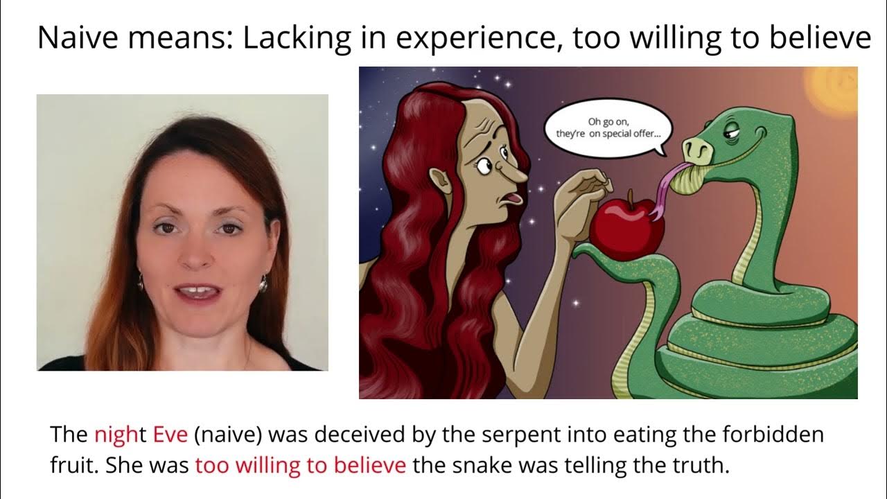 Remember Meaning Of Naive Using Pictures and Mnemonics YouTube