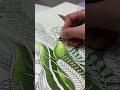 Livro de colorir - Oceano Perdido 🫧