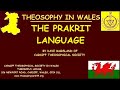 The prakrit language by dave marsland