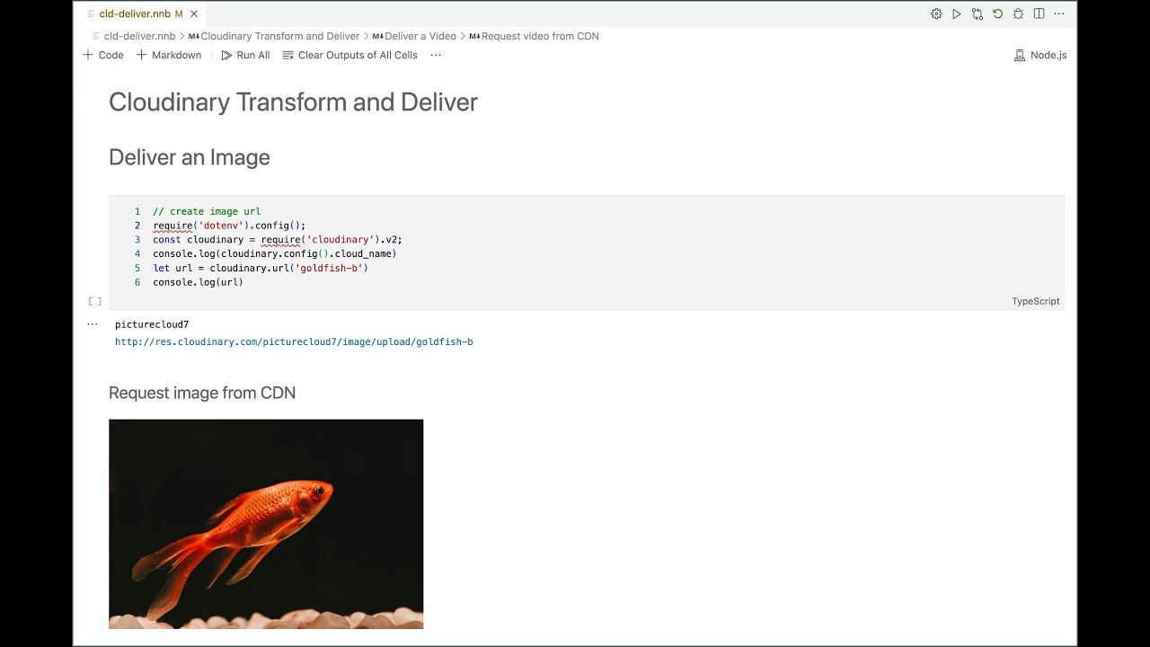 VS Code Notebook for Cloudinary Asset Delivery