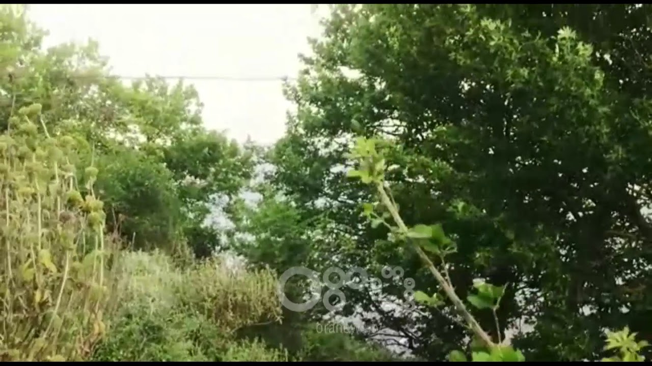 RTV Ora - Prej katër ditësh i zhdukur, adoleshenti gjendet i mbytur në lumin Vjosa