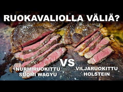 Video: Onko makeislämpömittareissa elohopeaa?