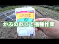 かぶの畝立てと播種作業2023.9.25#1372