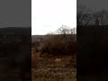 Деревня в Подмосковье из окна железнодорожного поезда Волгоград Москва Village in the Moscow region