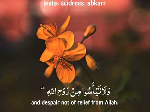 سورة يوسف بصوت إدريس أبكر ولا تيأسوا من روح الله حالات واتس أب