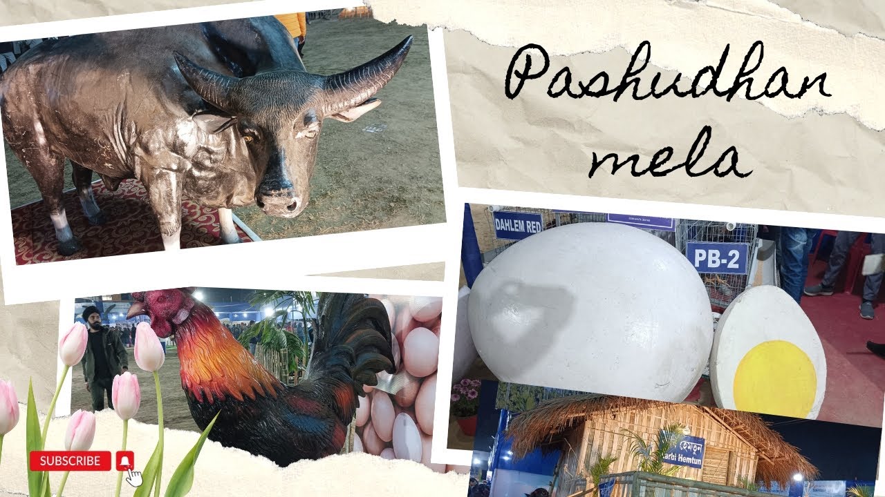 Pashudhan Mela Khanapara 2024 5, 6 and 7 January