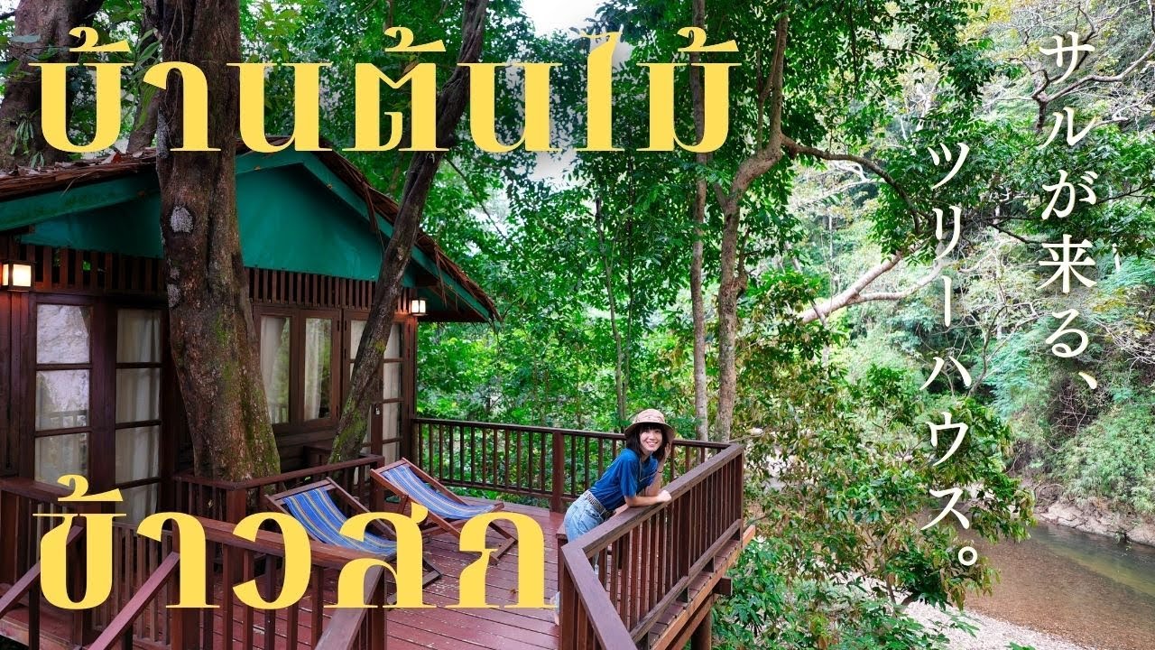 カオソックのジャングルリゾート Our Jungle Camp まいばるたいぶろぐ