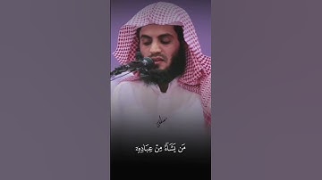 تلاوة هادئة بصوت القارئ رعد الكردي 🤍😴 سورة الروم         #قرآن #رعد_الكردي #quran
