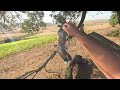 موسم 2024 أفضل لقطات الصيد على القمري 2024 Season Top Dove Hunting Shots 