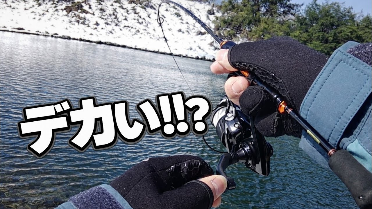 あの一匹が獲れていれば……【川場キングダムフィッシング】【エリアトラウト】【管理釣り場】