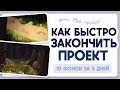 Как быстро закончить проект. Сделала 10 фонов за 5 дней.