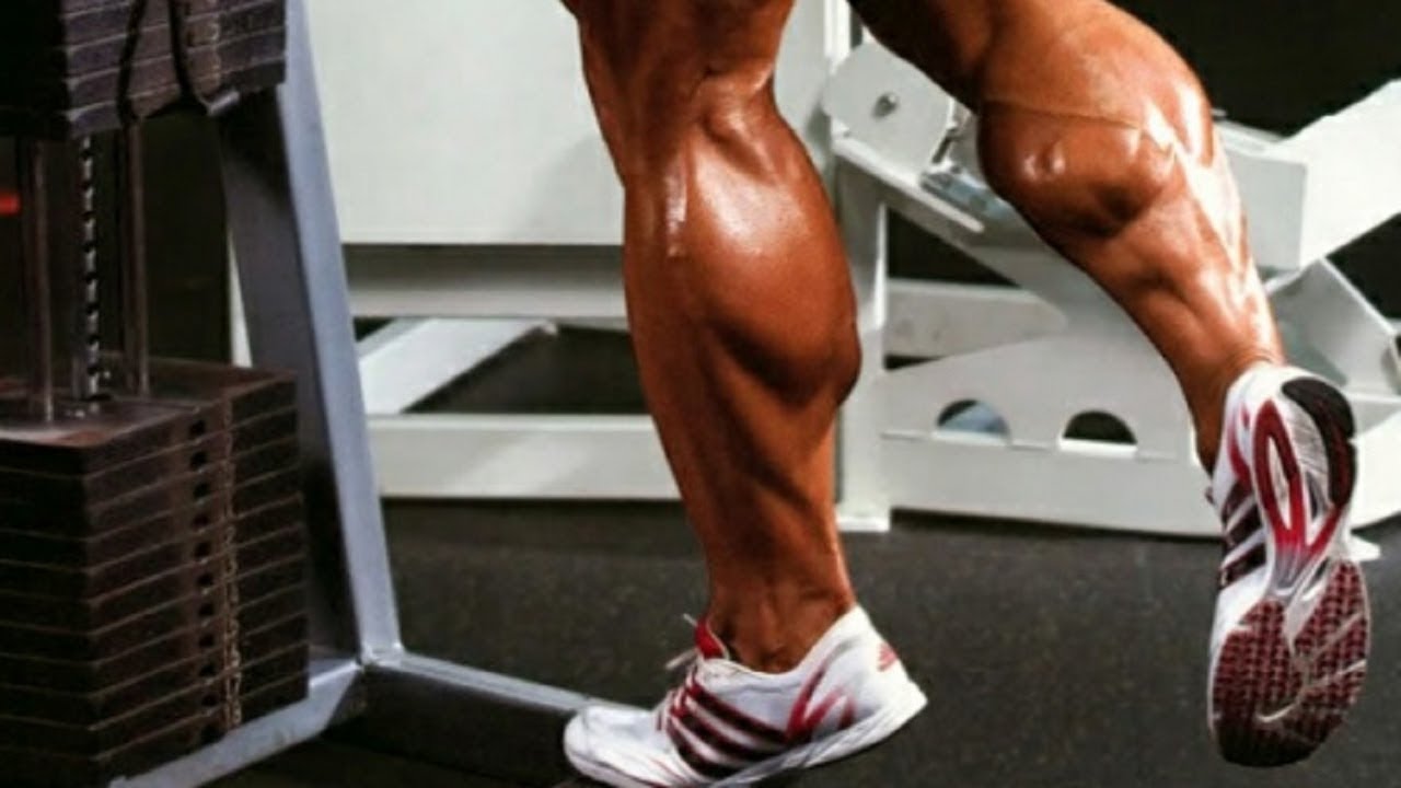 Сильные икры ног. Накаченные икроножные мышцы. Мощные икры. Тренировка икроножных мышц. Икроножная мышца ноги.
