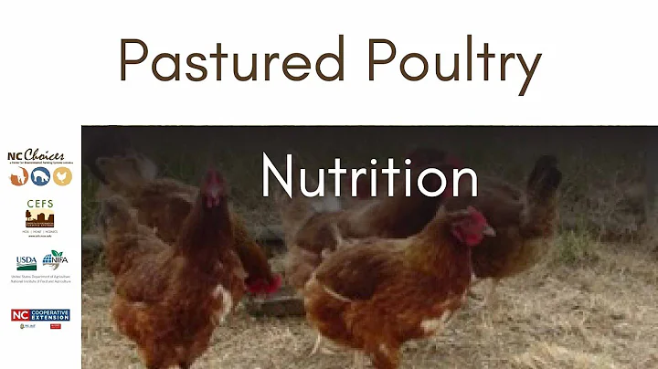 Pastured Poultry Production Feed and Nutrition - Teaching Tools for Beginning Farmers