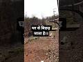 #funnyexpression #viralvideo #automobile #funnyvideo