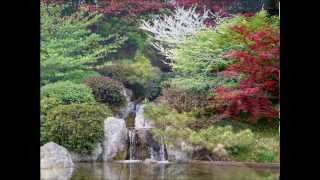 Sojiro - Tao