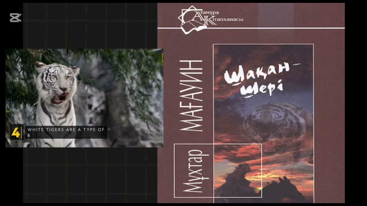 Буктрейлер М.Мағауин “Шақан шері” ​⁠@nisturkestan6470