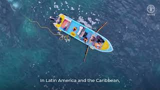 Fao Transforma Presents Unlocking Finance For Agrifood Systems Transformation