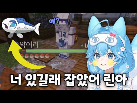 린에게 린 보여주는 타비