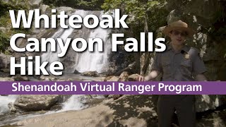 Virtual Ranger Program: Whiteoak Canyon Falls Hike