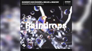 Sander van Doorn x Selva x Macon - Raindrops (feat. Chacel) [Extended Mix]