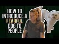 HOW TO INTRODUCE A FEARFUL DOG TO PEOPLE HOW TO INTRODUCE A FEARFUL DOG TO PEOPLE