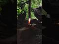 The Art of Forging :Watch Raw Metal Turn into a Masterpiece! 🔥⛏️#1000subscriber #1million #uk #usa