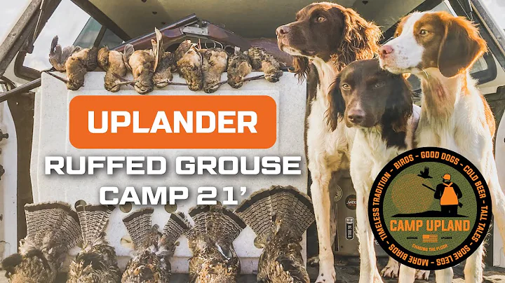 Ruffed Grouse Camp 2021! Birds, Brittanys and Good...