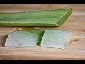 How to eat raw aloe vera / how to consume fresh aloe vera (hindi, urdu)