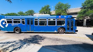 Driver on pace bus 🚍 IL USA 🇺🇸 