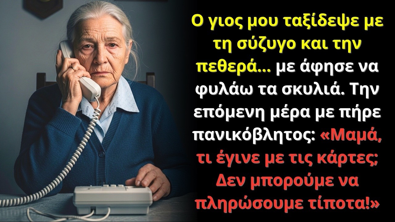 Ο γιος μου με άφησε να φυλάω τα σκυλιά… ώσπου έμαθε ποιος έπαιρνε τα λεφτά πίσω από την πλάτη μου!