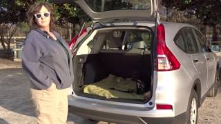 K9 Training School Jinx With Car Manners