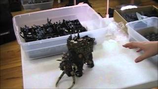 Studio Update- Dark Eldar alternate Raiders, War Mammoth, Tau