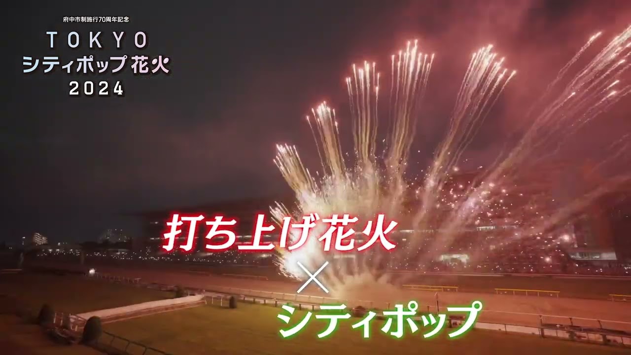TOKYOシティポップ花火大会2024 たのし 東京競馬場の指定席 連 TOKYOシティポップ花火大会2024 たのし 東京競馬場の指定席 連