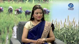 डाळिंब व्यवस्थापन | डॉ. शशिकांत शिंदे | HD | Amchi Mati Amchi Manse | आमची माती | 07.05.2024