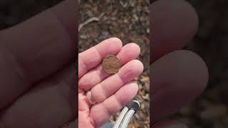 How I set my Nokta Makro Simplex Plus Metal Detector #metaldetecting #tips #metaldetector