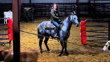 Fancy Little Slick - sorting practice - run #2 - Valley View Ranch