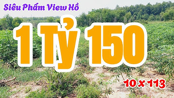 Đất Dầu Tiếng | Một Siêu Phẩm View Hồ Làm Nghĩ dưỡng 10  x 113 #642