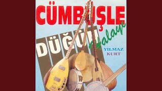 Bal Mısın Arı Mısın