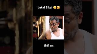 සීනි නෑ | Lakai Sikai | ලකයි සිකයි | Lulu Gossip