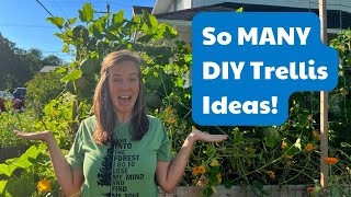8 Easy DIY Trellis Ideas From Other Gardeners