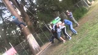 Escalada en árbol