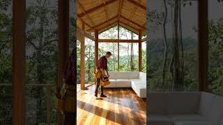 beautiful tree House
