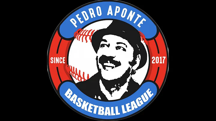 Pedro Aponte Basketball League 11/18/22