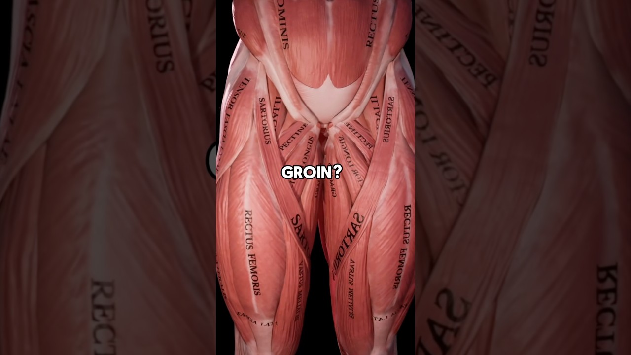 BULLETPROOF Your Groin (Adductors)💪🏼