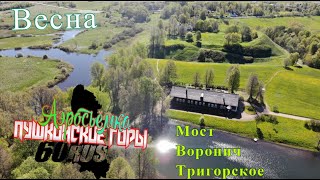 видео: Пушкинские горы Весенние прогулки по земле и воздуху №2 картинка: Пушкинские горы Весенние прогулки по земле и воздуху №2